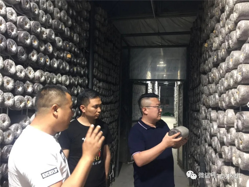 甘肅金控隴南擔(dān)保公司針對在保項(xiàng)目開展集中檢查月活動(dòng)