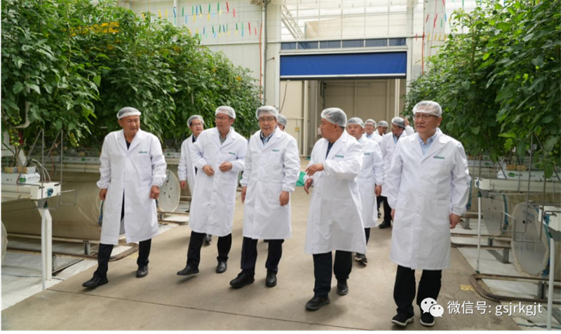 大興調研 | 雷鐵一行赴張掖、金昌、武威調研